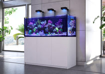 Aquariums
