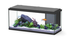 AQUATLANTIS AQUARIUM EXPLORER BIOBOX AMSTERDAM 80 ZWART-001