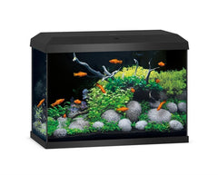 JUWEL AQUARIUM PRIMO 70 2.0
