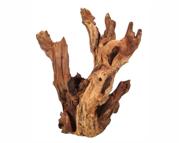 HS Aqua Kayika Wood