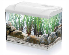 HS AQUA AQUARIUM COLDY 20 LED 39X22X30 CM