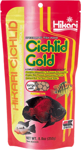Hikari cichlid gold