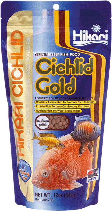 Hikari Cichlid Gold Zinkend