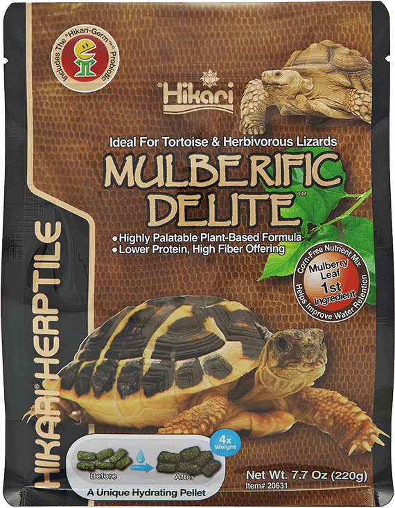 Hikari Turtle Mulberific