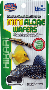 Hikari mini algae wafers