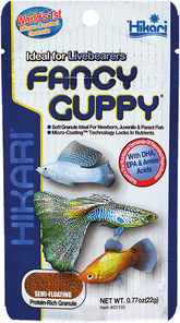 Hikari Fancy Guppy