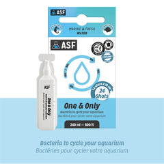 ASF ONE & ONLY 24 X 10 ML SHOTS