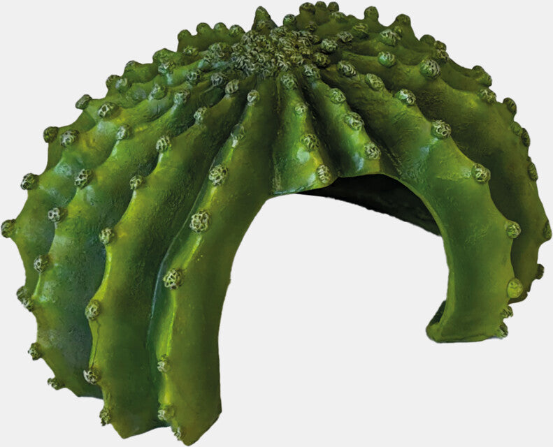 REPTO DECO CACTUS XL