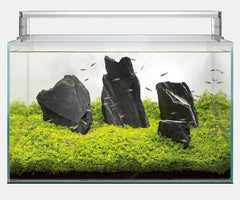 SUPERFISH SCAPER 140