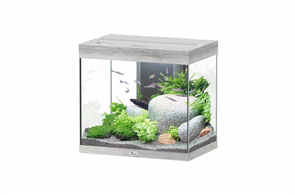 Aquatlantis Aquarium Splendid 60 Ultra Biobox Whitewash-088