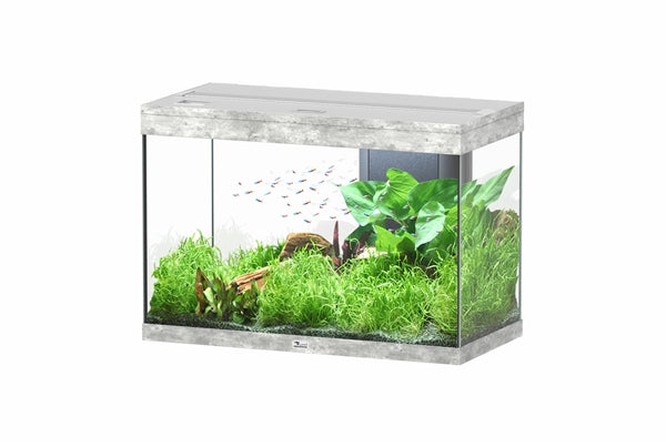 Aquatlantis Aquarium Splendid 80 Ultra Biobox Beton-059