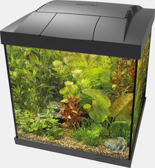 SF START 30 QUBE KIT ZWART