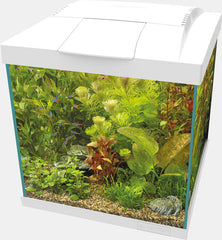 SF START 30 QUBE KIT WIT