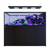 Red Sea REEFER MAX Peninsula S-950 G3 - Zwart