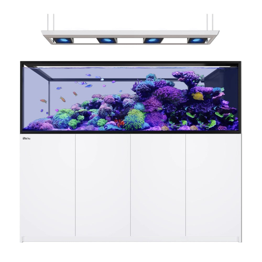 Red Sea REEFER MAX Peninsula S-950 G3 - Wit