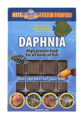 Daphnia Blister 100 Gr. (DAPHNIA BLISTER 100 GR. 24 CUBE NEW LINE)