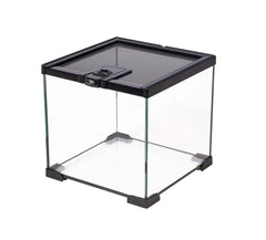 Terra Della Terrarium Glas