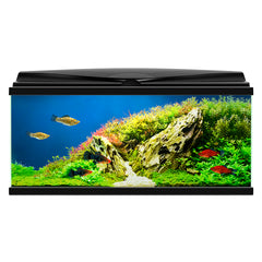 aquarium aqua 80 led bio cf150 Zwart 80x30x41,5cm
