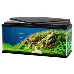 aquarium aqua 80 led bio cf150 Zwart 80x30x41,5cm