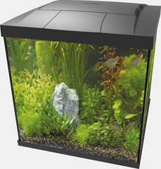 SF START 60 QUBE KIT ZWART