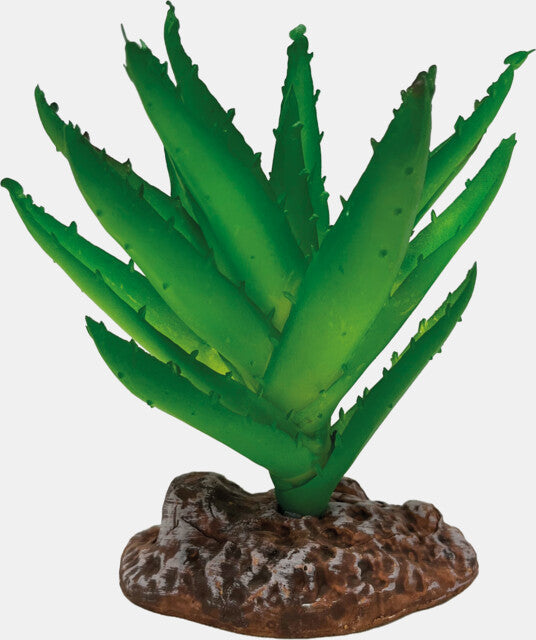 Repto Plant Aloe Vera
