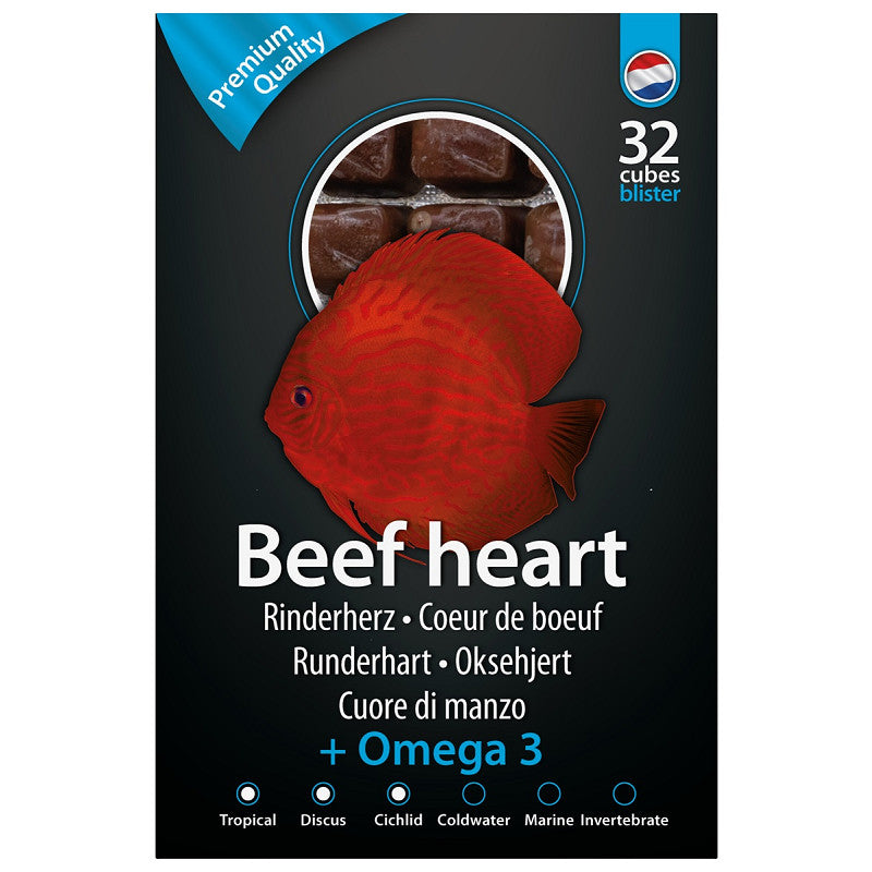DS Beefheart