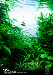 Aquaflora Poster 'Go Green!' A1 Formaat - Pr (Aquaflora poster 'Go Green!' A1 formaat - PR)