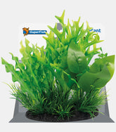 SF DECO PLANT S NR 4