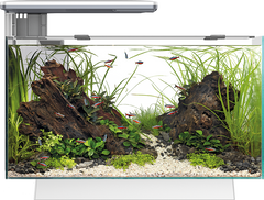 Superfish Quadro Pro