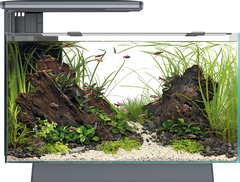 Superfish Quadro Pro