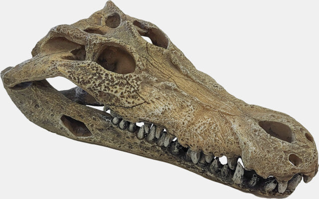 REPTO DECO CROCODILE L