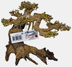 BONSAI DRIFTWOOD