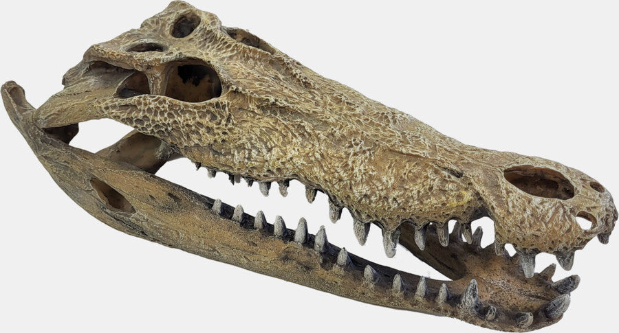 REPTO DECO CROCODILE XXL
