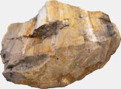 SF AQUASCAPE RED WOOD ROCK 5 KG