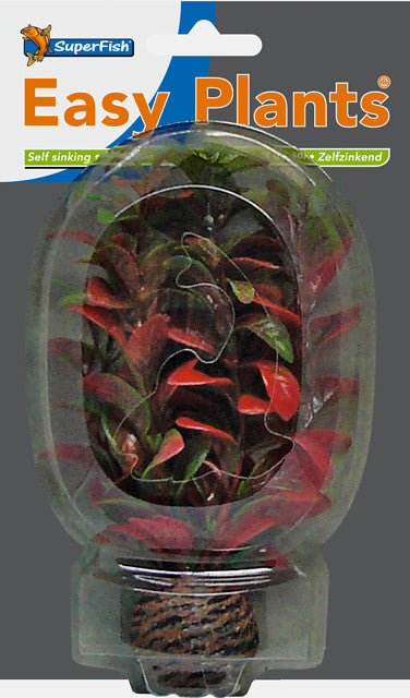 Sf easy plants voorgrond 13 cm