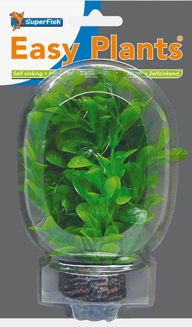 Sf easy plants voorgrond 13 cm