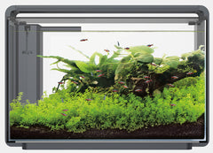 SF HOME PROLED 65 AQUARIUM ZWART