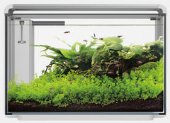 SF HOME PROLED 65 AQUARIUM WIT