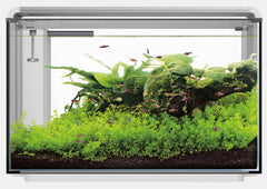 SF HOME PROLED 85 AQUARIUM WIT