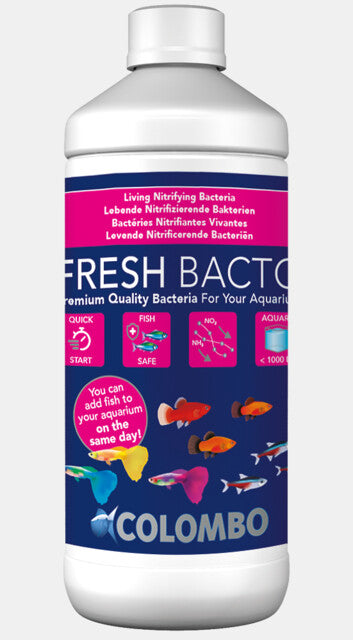 Colombo Fresh Bacto 1000 ml