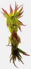 REPTO PLANT VINES RED/GREEN FERN 60 CM