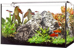 Aquarium 25 liter compleet @
