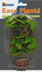 Sf easy plants voorgrond 13 cm