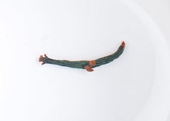 Nembrotha kubaryana