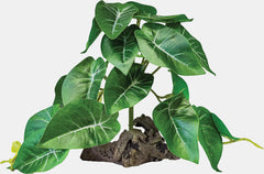 REPTO PLANT ON DECO ELEPHANT GREEN