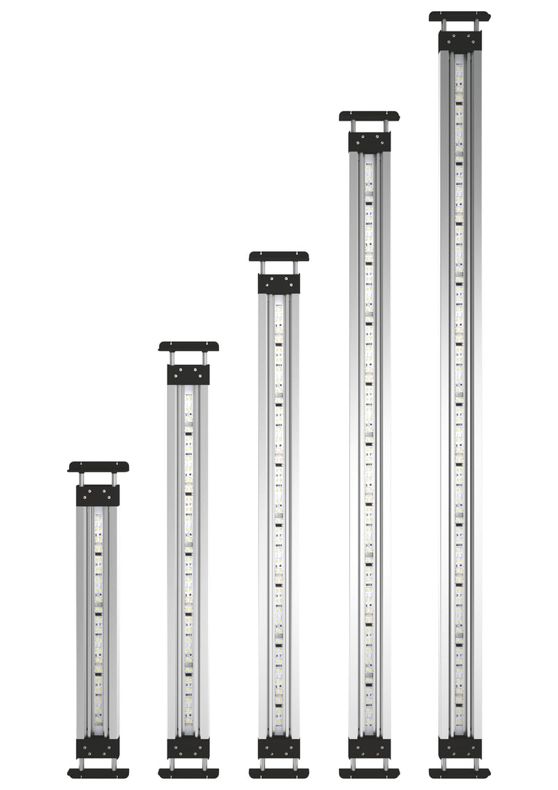 Oase MotionControl LED set