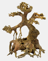 BONSAI DRIFTWOOD