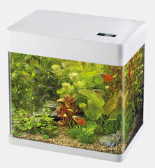 Superfish panorama 50 wit