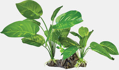 REPTO PLANT ON DECO DARK GREEN