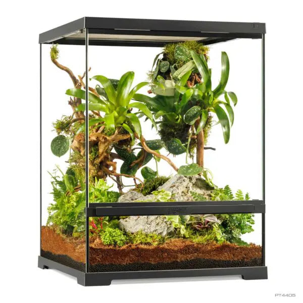 EX Pro Terrarium Small Tall maat 45 cm x 45 cm x 60 cm